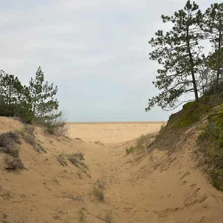 Excellently Equipped Row House With Fenced Garden For 8 In Lignano Pineta ヴィラ リニャーノ・サッビアドーロ