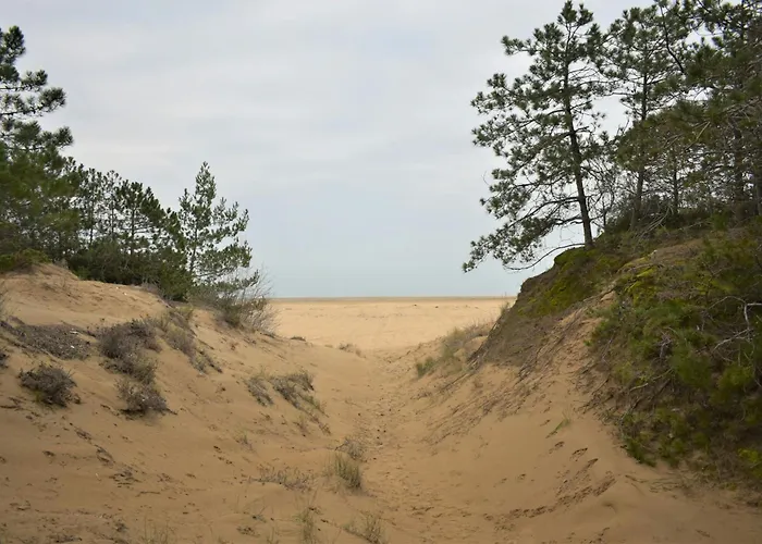 Excellently Equipped Row House With Fenced Garden For 8 In Lignano Pineta Villa Lignano Sabbiadoro